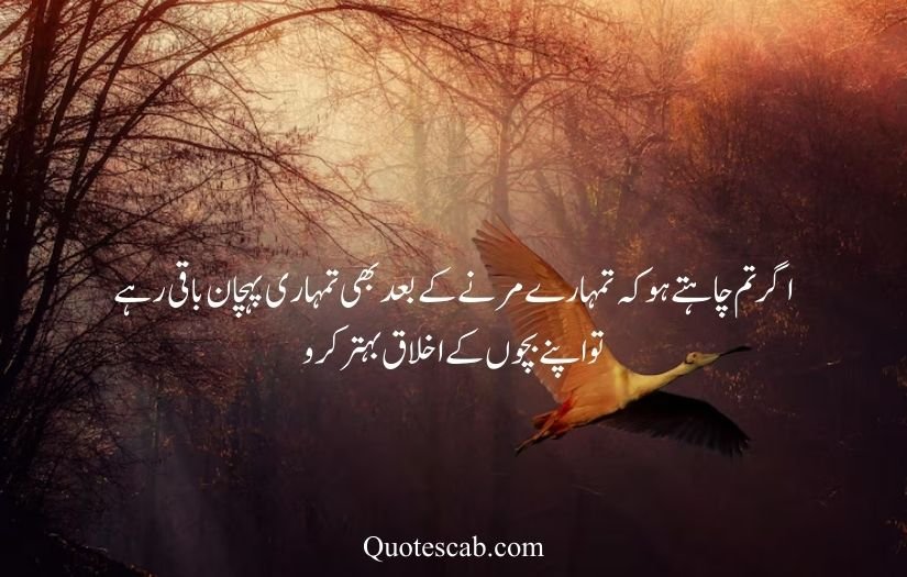 allah quotes in urdu