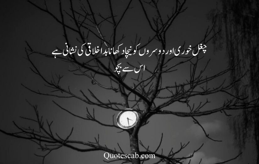 allah quotes in urdu