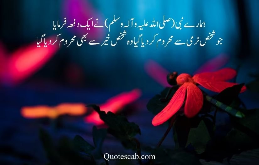 allah quotes in urdu