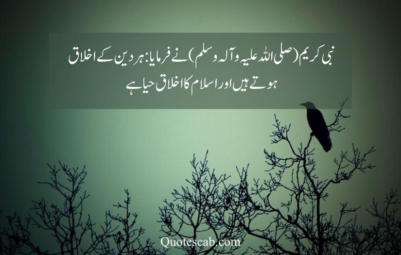allah quotes in urdu