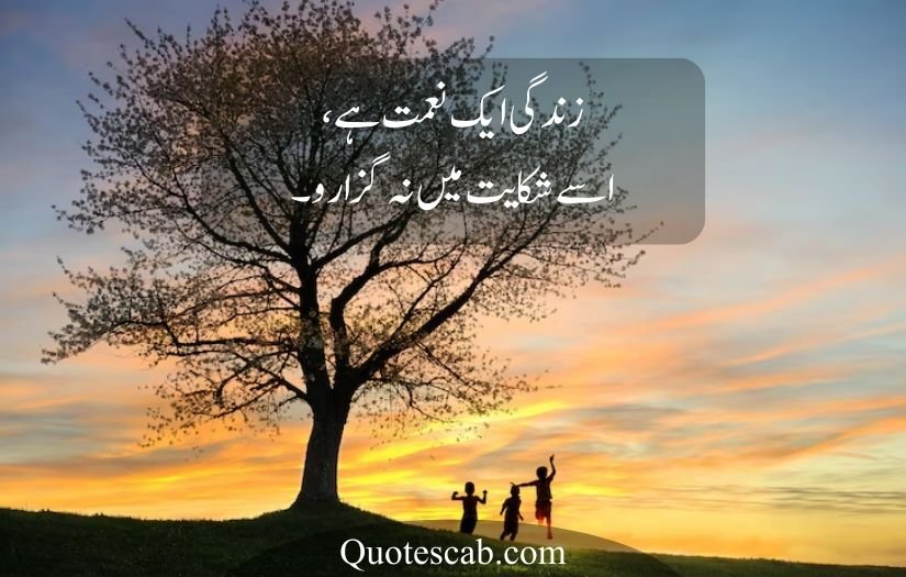 life quotes in urdu 2 lines