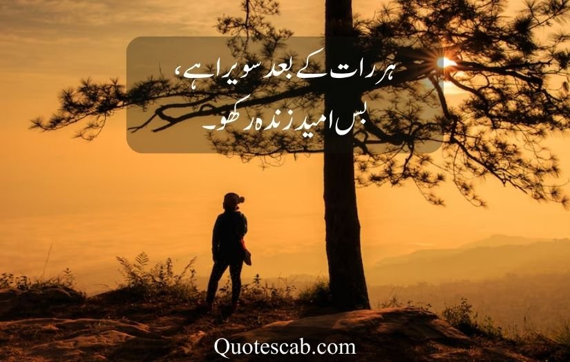 life quotes in urdu 2 lines