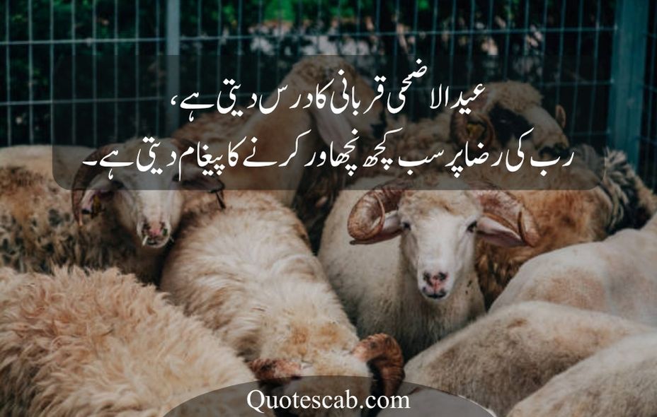 eid ul adha quotes in urdu
