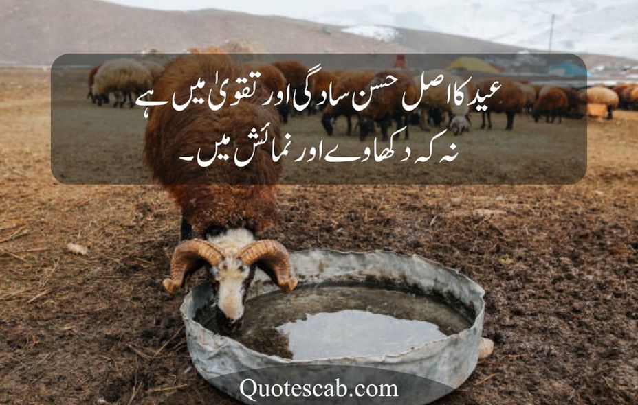 eid ul adha quotes in urdu