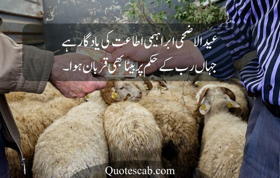 eid ul adha quotes in urdu