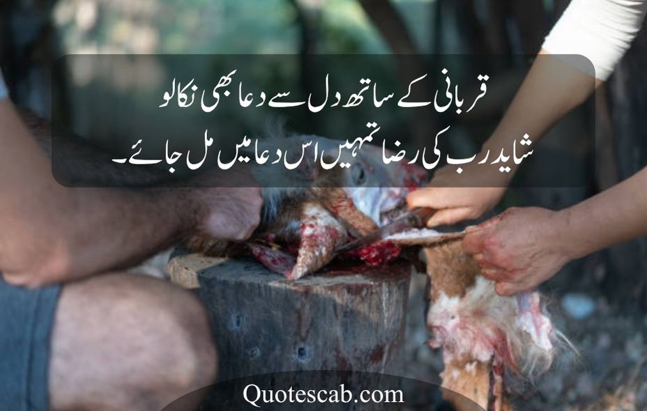 eid ul adha quotes in urdu