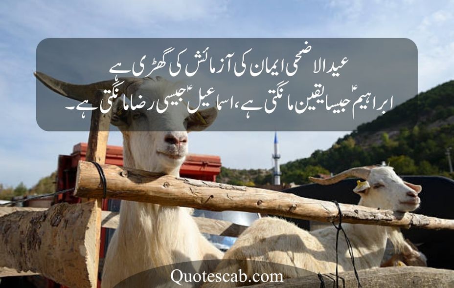 eid ul adha quotes in urdu