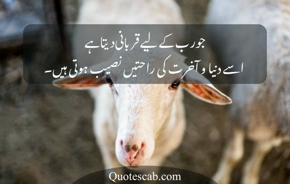 eid ul adha quotes in urdu