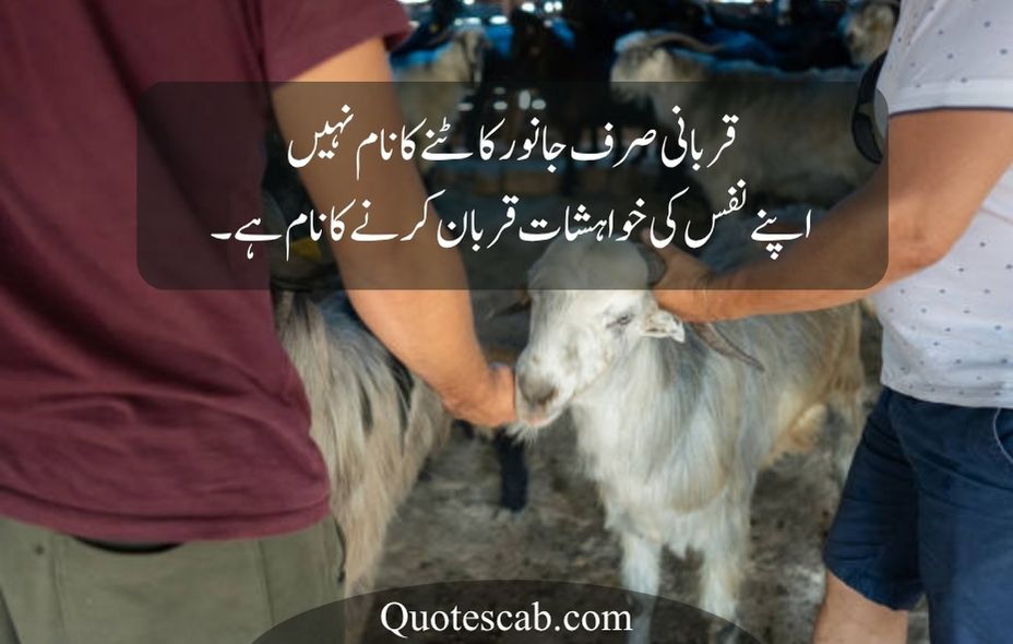eid ul adha quotes in urdu