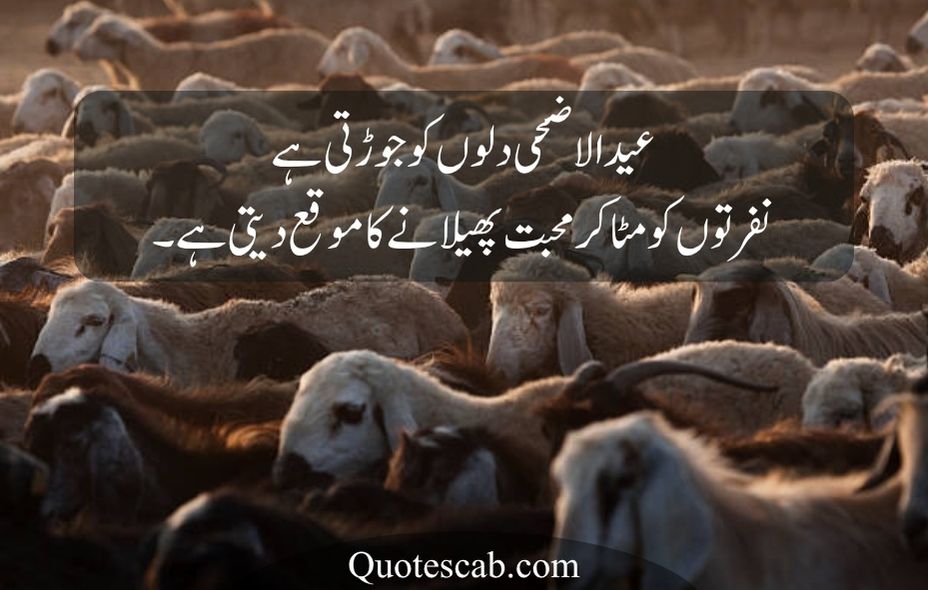 eid ul adha quotes in urdu