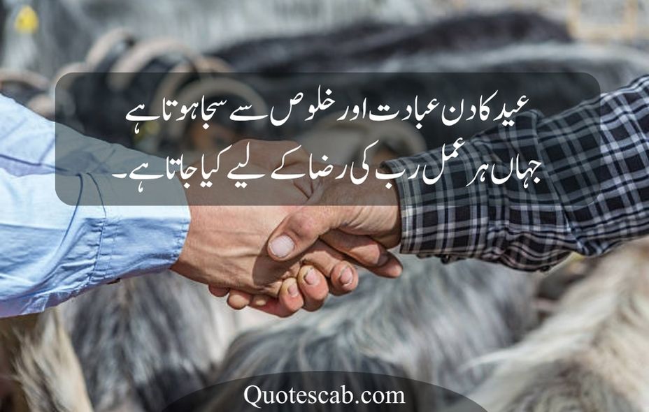 eid ul adha quotes in urdu