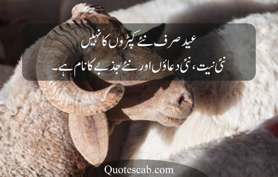 eid ul adha quotes in urdu