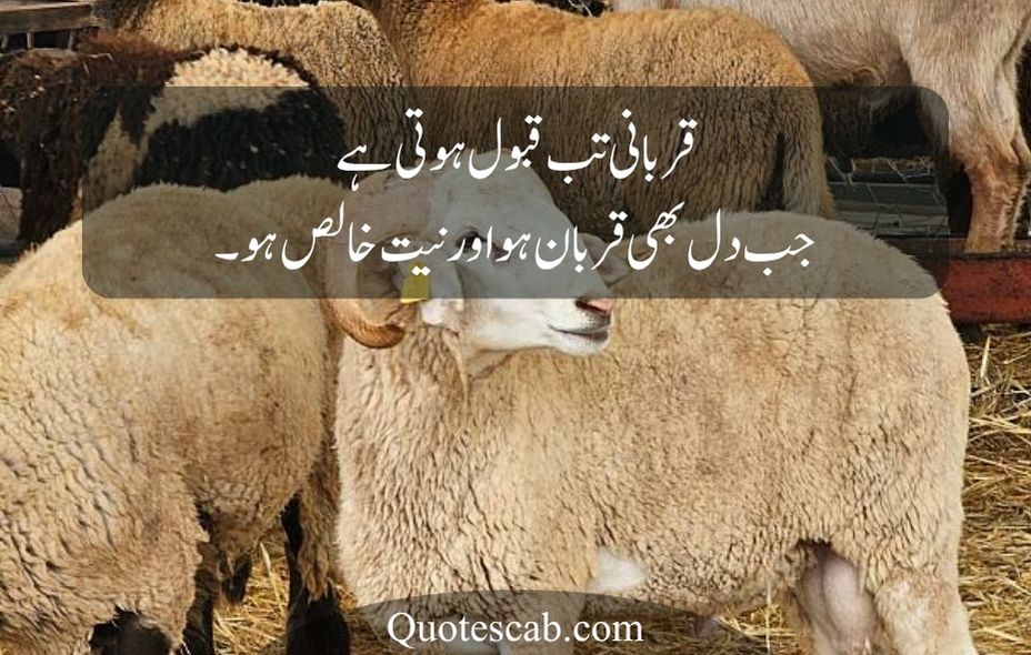 eid ul adha quotes in urdu