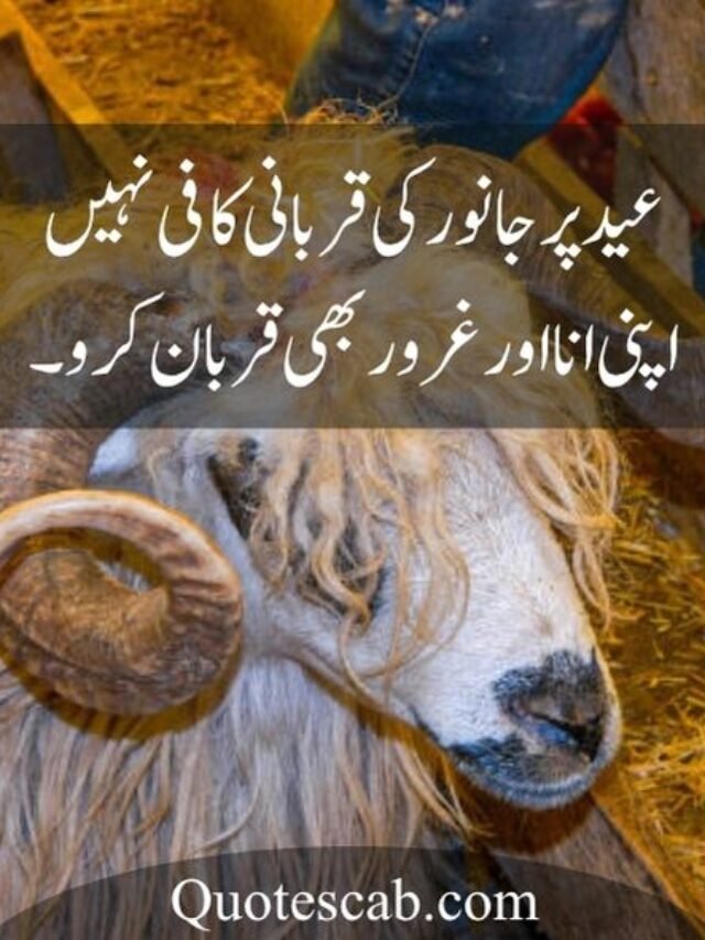 eid ul adha quotes in urdu