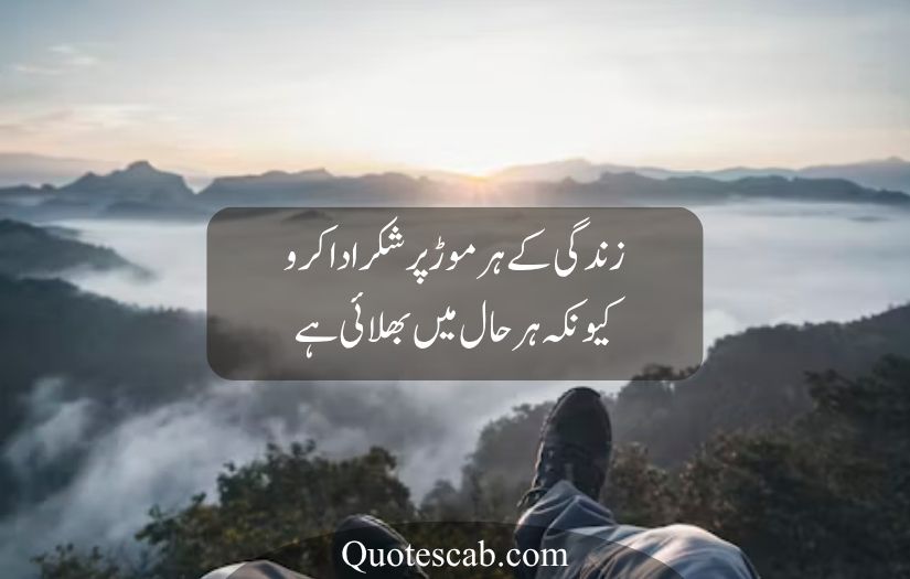 life quotes in urdu
