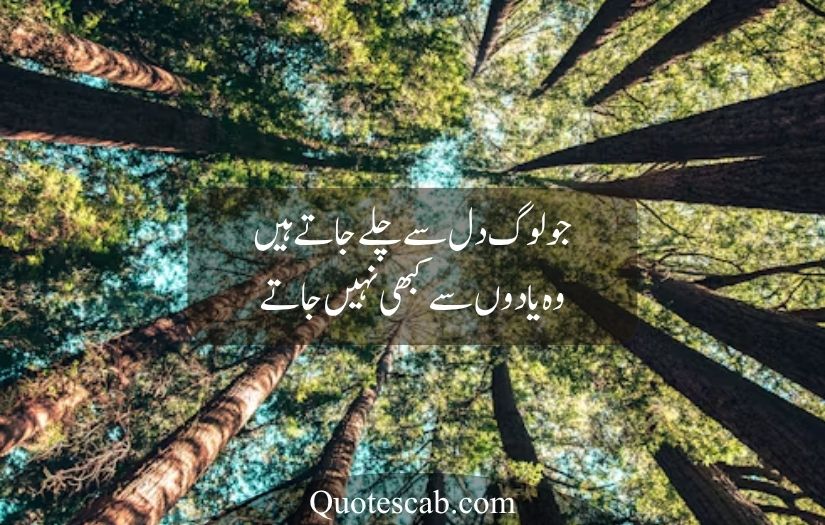 life quotes in urdu