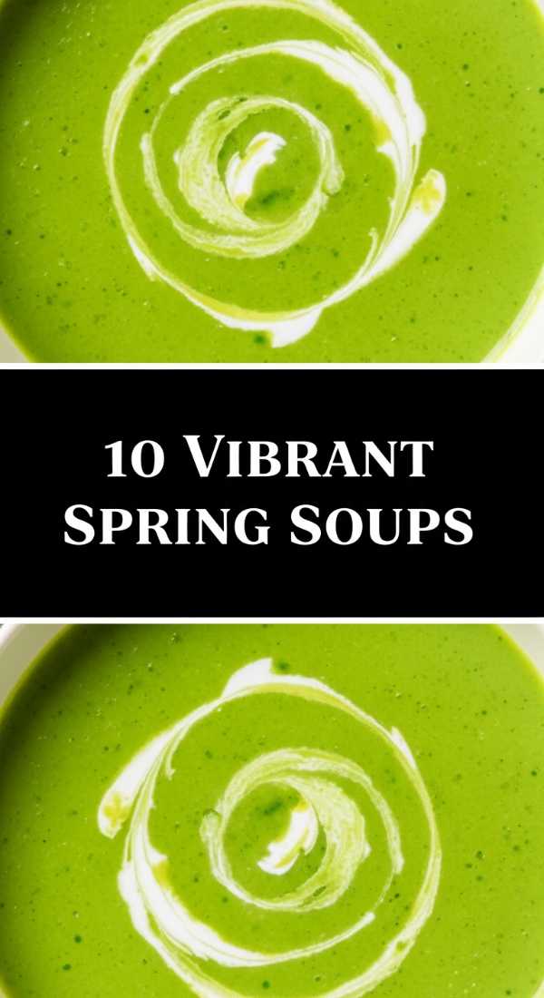 10 Delicious Spring Soup Recipes Step By Step Guide 69f2521f4bf38