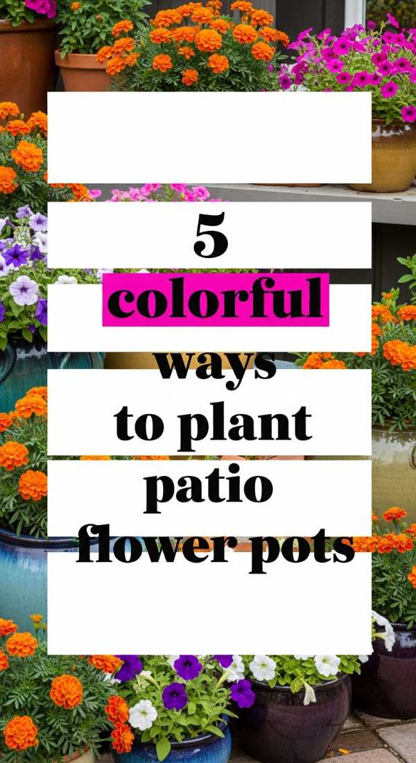 5 Colorful Ways To Plant Patio Flower Pots 69f0ed963ebb6