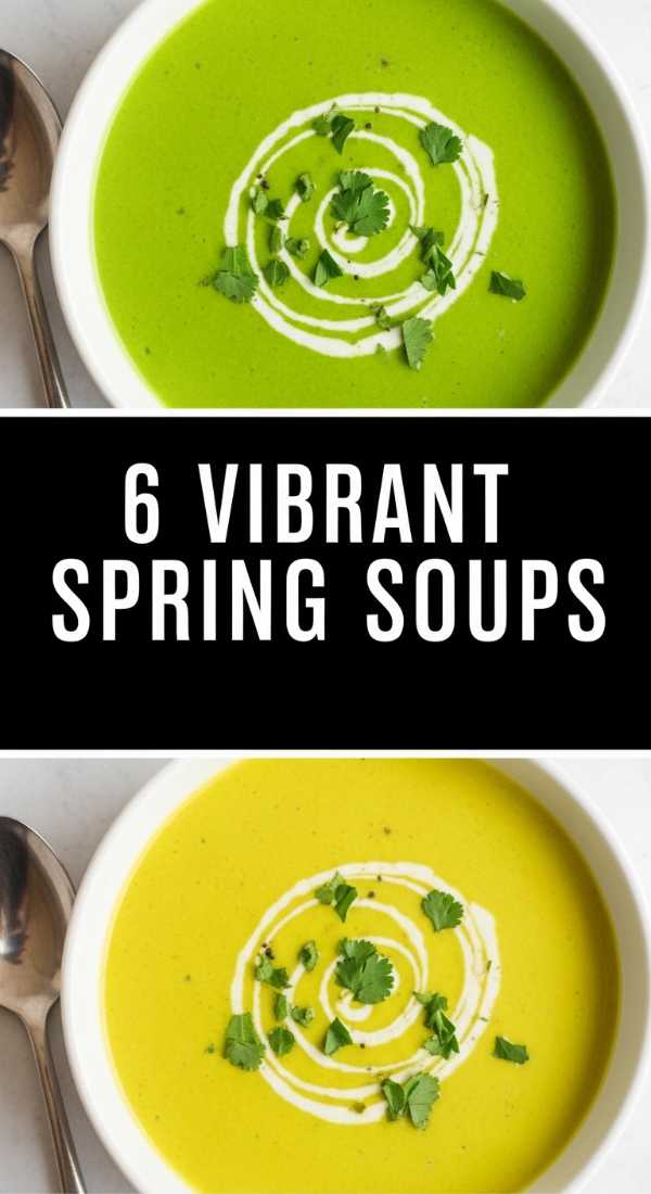 6 Vibrant Spring Soup Recipes Step By Step Guide 69f2521b2f0da