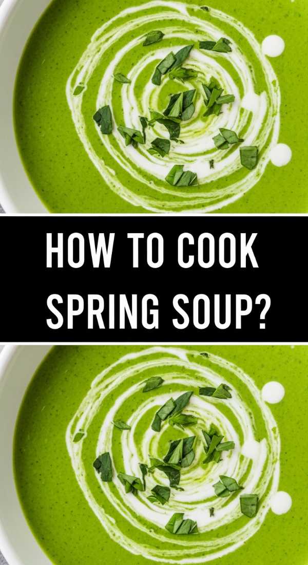 A Guide On How To Cook Spring Soup 69ef891158af4