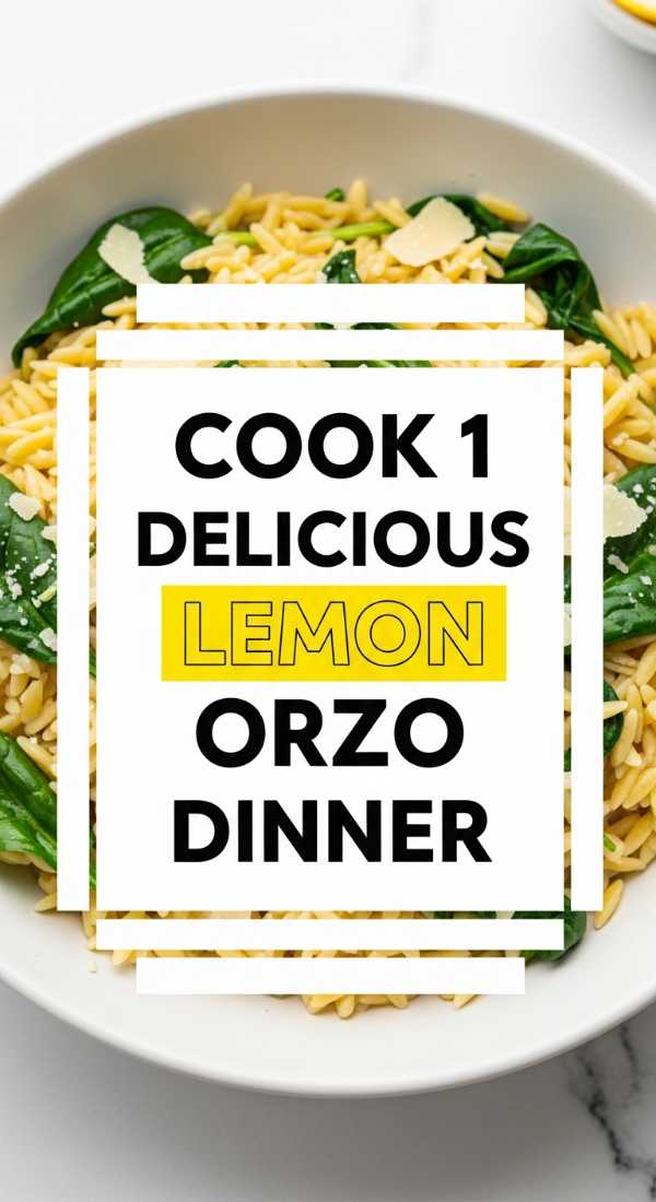 Cook 1 Delicious Lemon Orzo Dinner 69edfa9553292