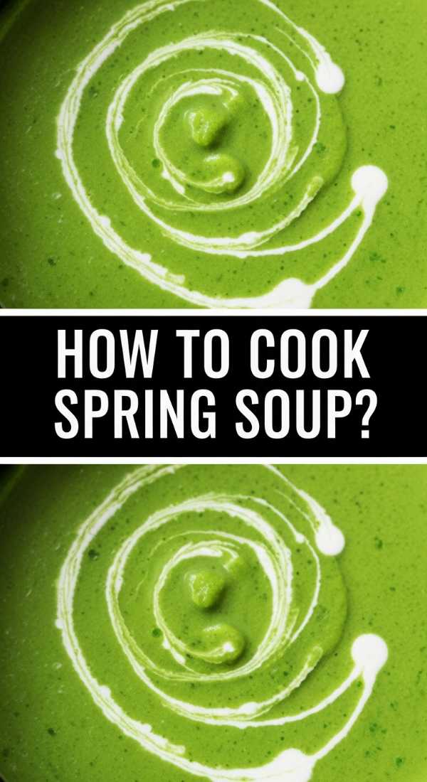 How To Cook Spring Soup 69e7566577c73