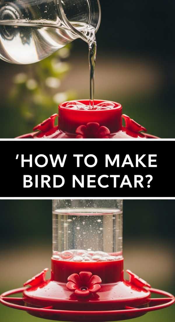 How To Make Bird Nectar 69e756713a84f