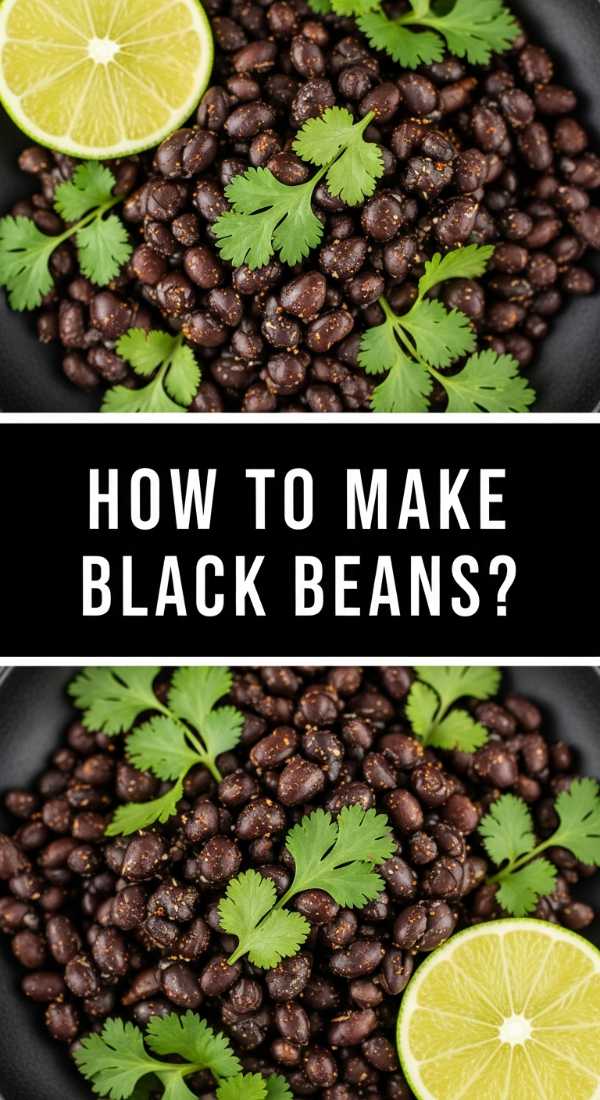 How To Make Black Beans 69eba17ca9576
