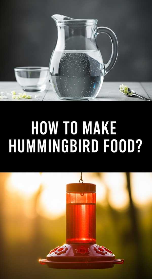 How To Make Hummingbird Food 69e7580d449e9