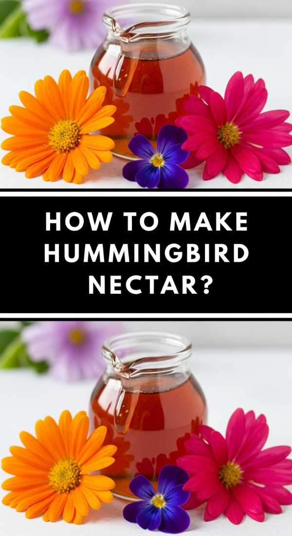 How To Make Hummingbird Nectar 69ea51e44f090