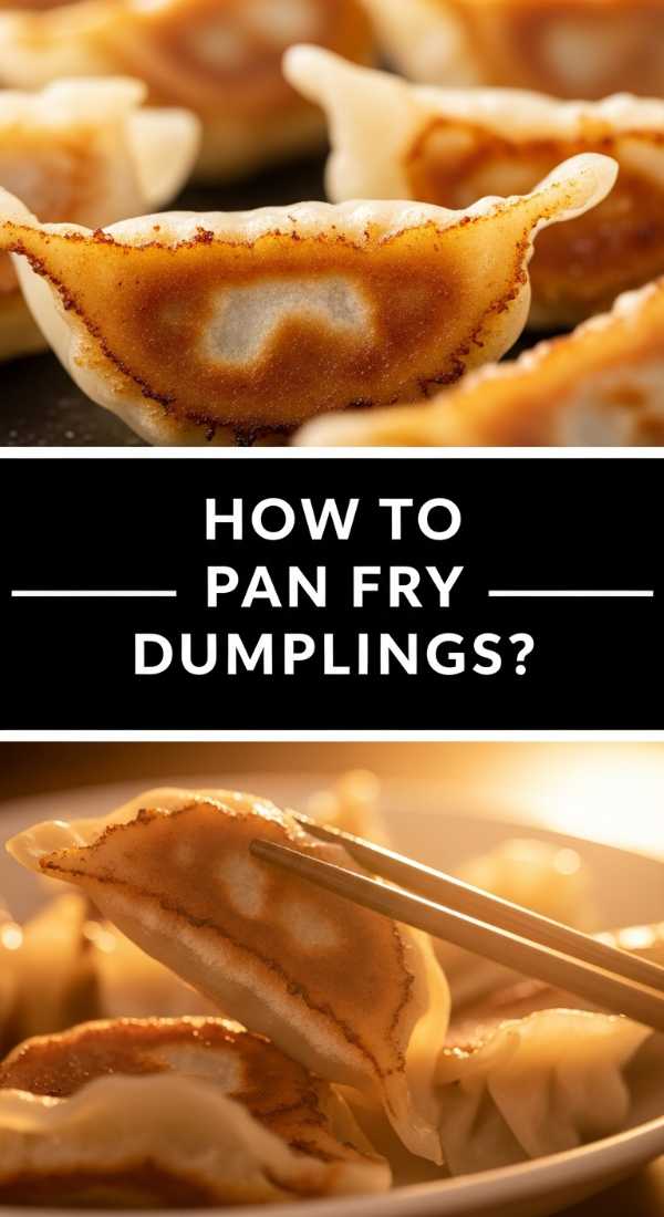 How To Pan Fry Dumplings 69f1a4854a6b2