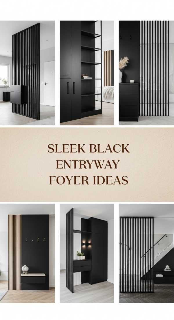 Sleek Black Entryway Foyer Ideas 69f3a6a13cd53