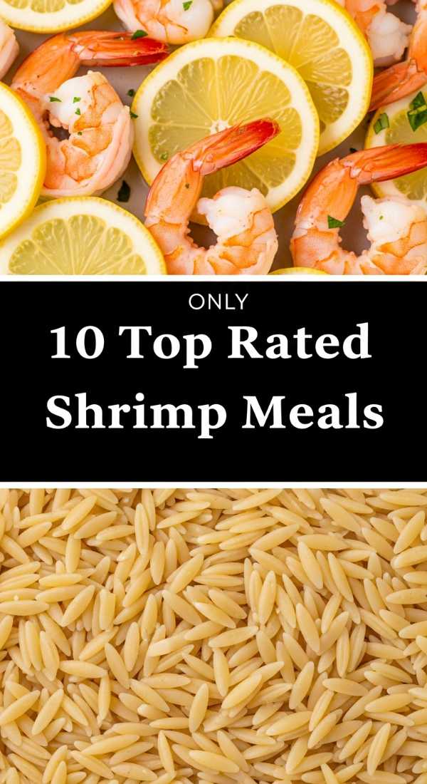 10 Best Lemon Garlic Shrimp Orzo Dishes 69fe178047e96