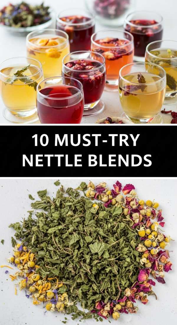 10 Best Nettle Tea Blends 69f44fb2ec32b