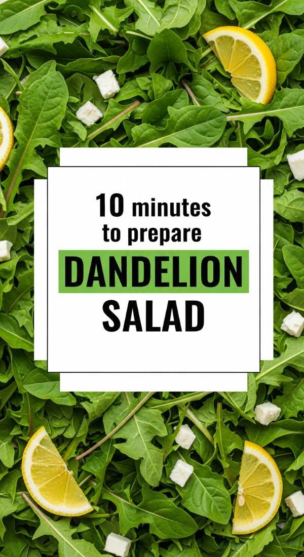 10 Minutes To Prepare Dandelion Salad 69f47f59ac530