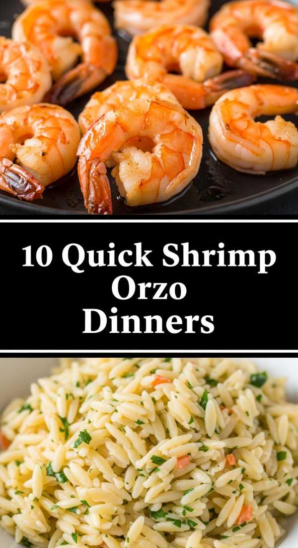 10 Quick Shrimp Orzo Dinners Step By Step Guide 69fe177c7821e