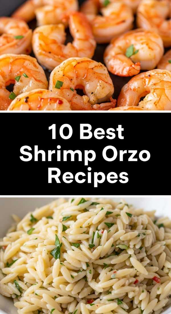 10 Quick Shrimp Orzo Recipes Step By Step Guide 69fe177f7af67