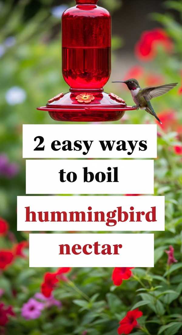 2 Easy Ways To Boil Hummingbird Nectar 6a001830c15d6