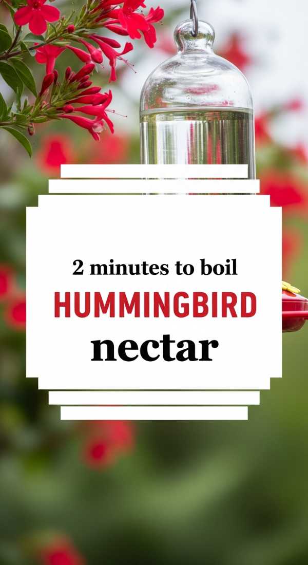 2 Minutes To Boil Hummingbird Nectar 6a0018190e7db