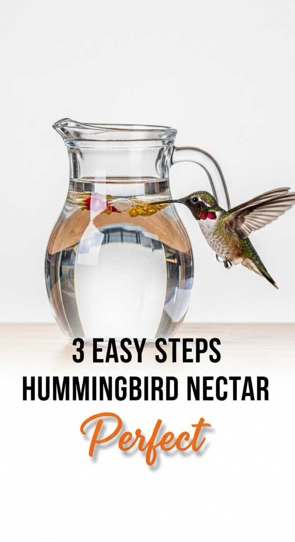 3 Easy Steps For Perfect Hummingbird Nectar Recipe 6a045a8a4ed97