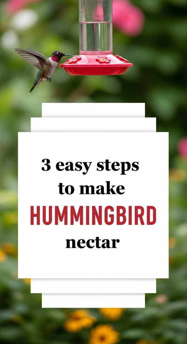 3 Easy Steps To Make Hummingbird Nectar 6a00161684403