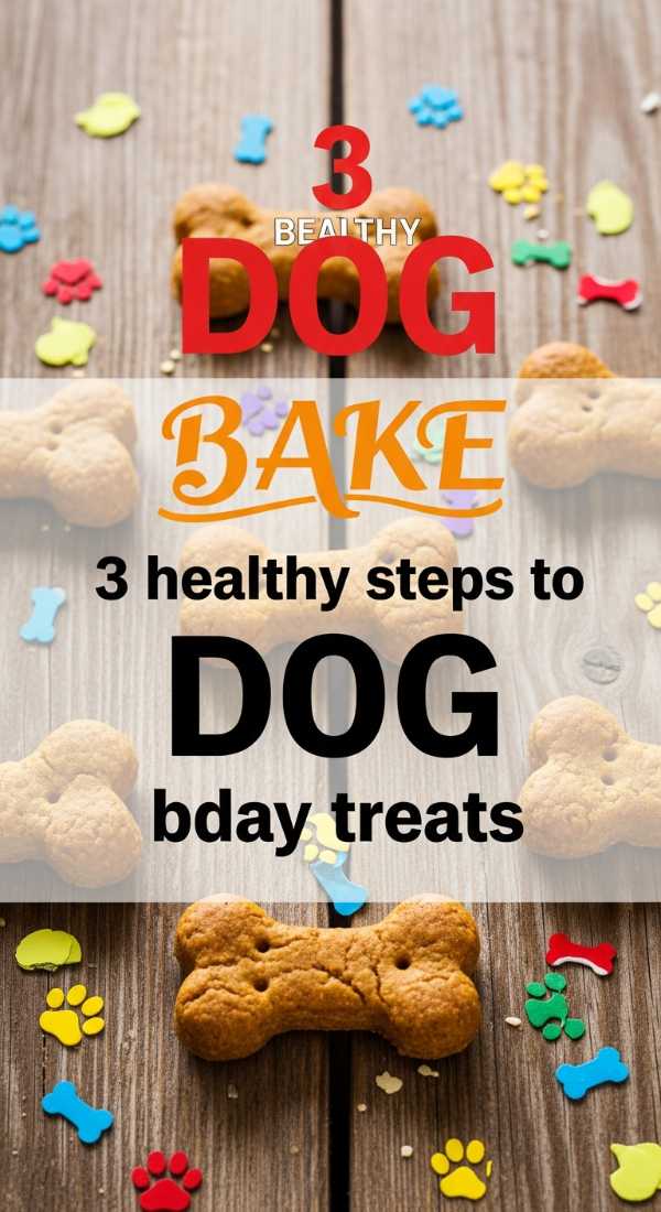 The Art of the Open-Air Bash: Everything You Need to Know 3 Healthy Steps To Bake Dog Bday Treats 6a157c8dbc81d