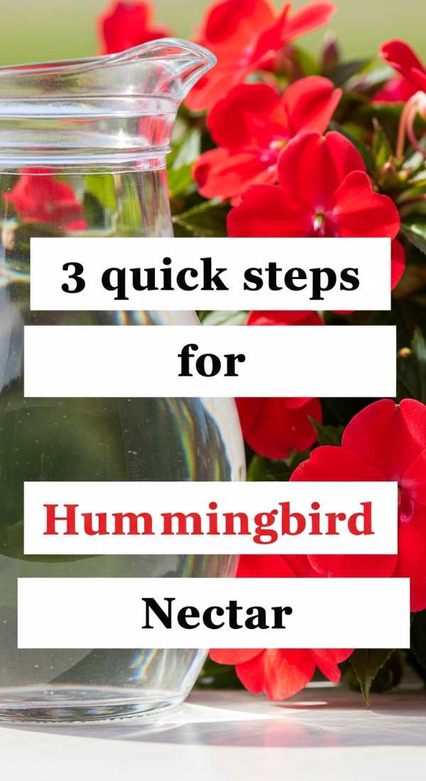 Sizzling Summer: 50+ Recipes for Your Next Backyard BBQ 3 Quick Steps For Hummingbird Nectar 6a00160431cc6