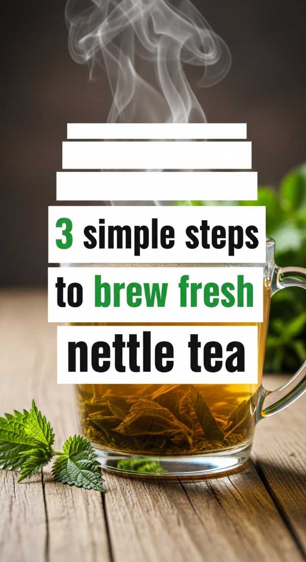3 Simple Steps To Brew Fresh Nettle Tea 69f47c6a35c02