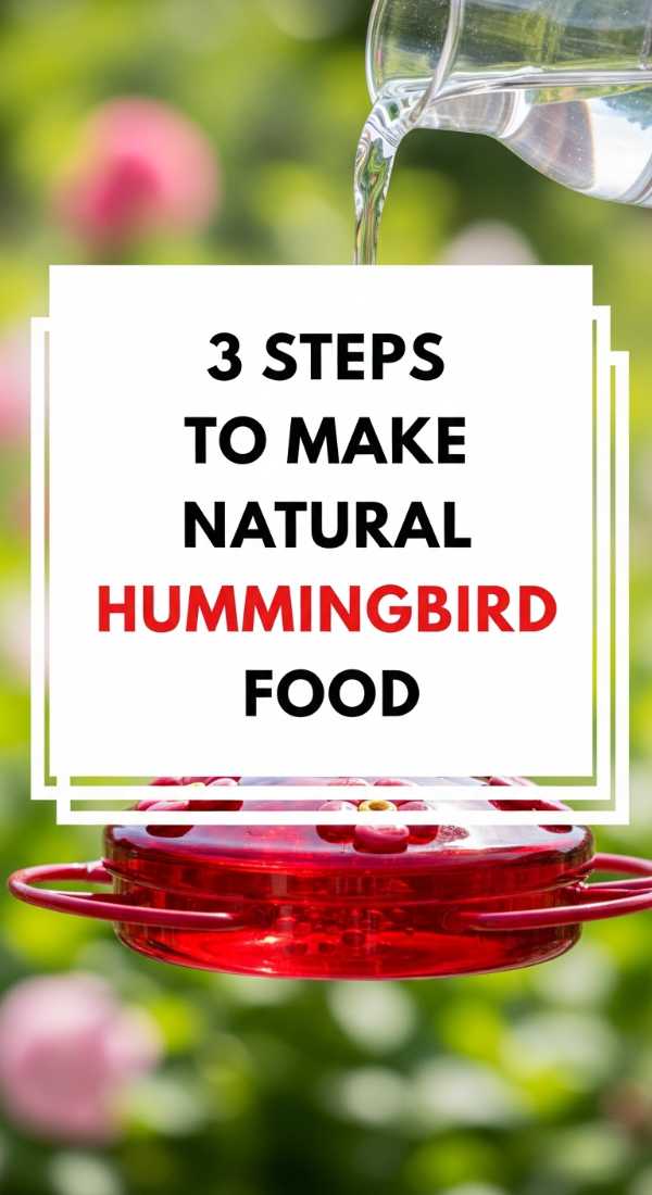 3 Steps To Make Natural Hummingbird Food 6a10d0857b307
