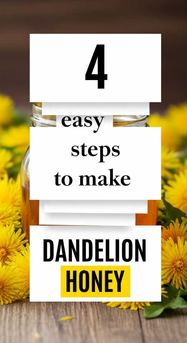 4 Easy Steps To Make Dandelion Honey 69f47b458461e