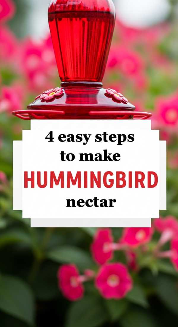 4 Easy Steps To Make Hummingbird Nectar 6a00180a7f94b