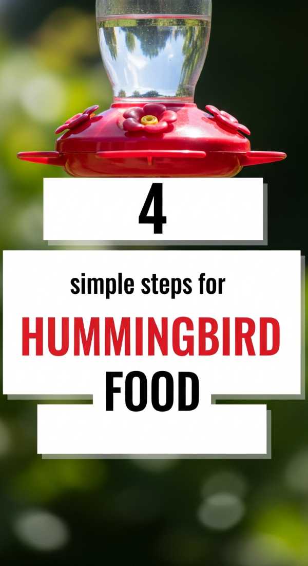 4 Simple Steps For Hummingbird Food 6a0018241d9d9