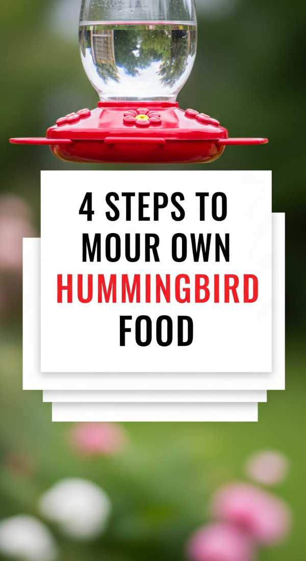 4 Steps To Make Your Own Hummingbird Food 6a06c38be5de9