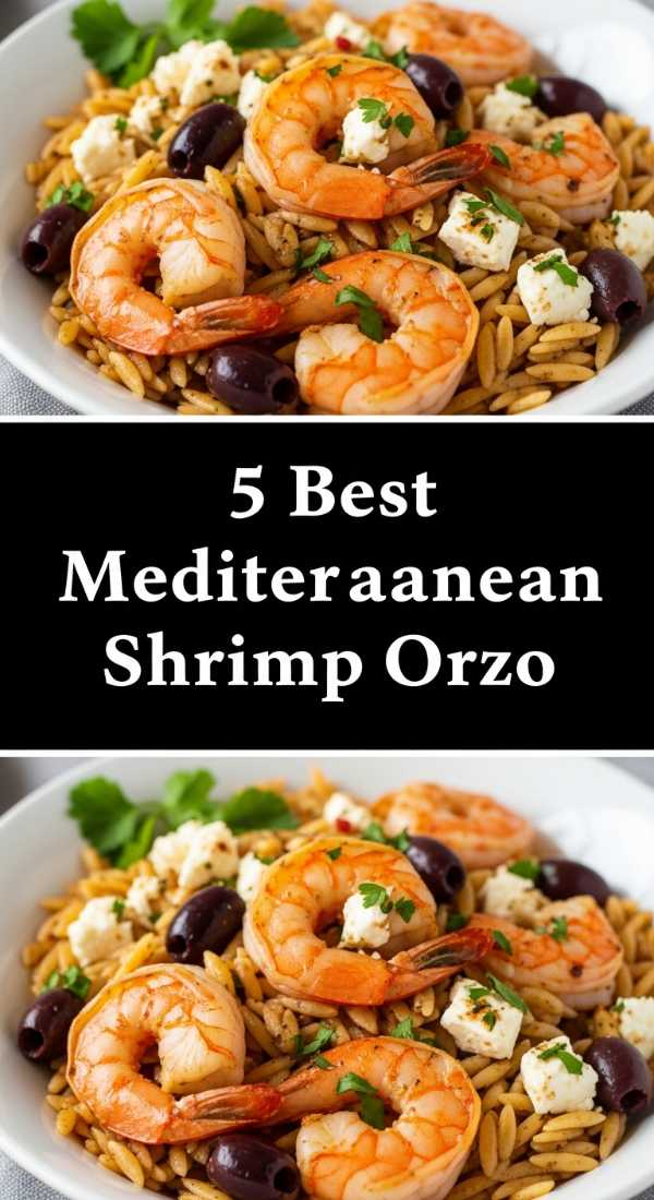 5 Best Mediterranean Shrimp Orzo Fresh Flavors 69fe178512e6f